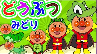 動物の集合 アンパンマンと学ぼう☆動物園に行こう【子供が喜ぶ 動物の知育動画】 [upl. by Dare]