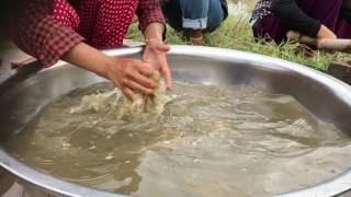 Washing banana fiber [upl. by Yoshi]