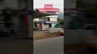 Today Thiruvannamalai  shorts [upl. by Sale]