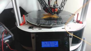 Rostock Max v2 3d Printer Demo [upl. by Needan]