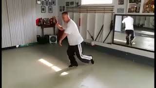 Tai Chi Wild Horse Ruffles Main correct footwork Yang Family BaShi tradition sifu Damon Bramich [upl. by Ahsap563]