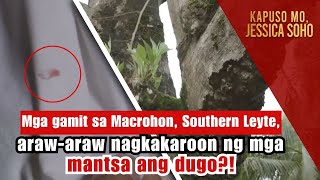 Mga gamit sa Southern Leyte arawaraw nagkakaroon ng mga mantsa ng dugo  Kapuso Mo Jessica Soho [upl. by Jeralee]