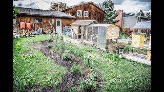 Ferme Urbaine  Notre Jardin Bio de 1000m2 [upl. by Lorrin655]