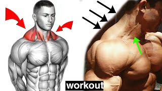 How to Build Your Trapezius workout [upl. by Wooldridge187]