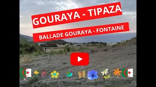 GOURAYA  TIPAZA [upl. by Iturk259]