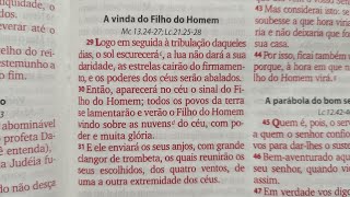 A VINDA DO FILHO DO HOMEM [upl. by Gipsy]