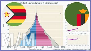 🇿🇼Zimbabwe vs 🇿🇲Zambia Comparison of Population Pyramids 19502100  2022 Medium [upl. by Anilos]