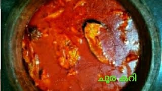 ചൂര മീൻ കറി Choora Curry Recipe നല്ല കുറുകിയ ചാറോടു കൂടിയ മീൻ കറി No  16 [upl. by Aihsar]