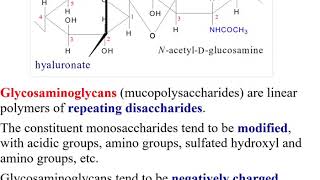 Glycosaminoglycans [upl. by Cacilie731]