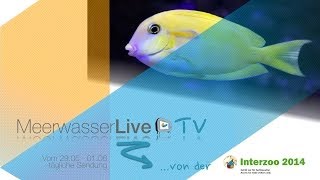 Tägliche Sendung von der Interzoo 2014  Salz der Woche  Meerwasser Live TV [upl. by Cl]