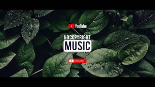 Free Music Ehrling  All I Need No Copyright Music [upl. by Eidassac]