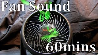 The Sound of a Fan 60mins quotSleep Soundsquot Honeywell HT900 [upl. by Neyr]