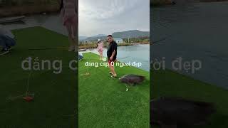 Bất ngờ chưa bà già cauca fishing short [upl. by Atonsah]