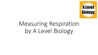 Measuring Respiration  A Level Biology [upl. by Clarette]