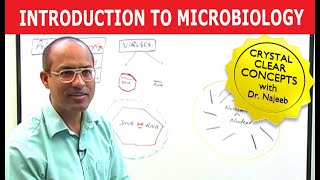 Introduction to Microbiology [upl. by Ennayehc445]