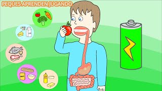 El sistema digestivo para niños Video del aparato digestivo y sus partes De PequesAprendenJugando [upl. by Sivet882]