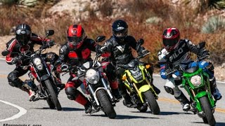 125cc  Honda Grom vs Kawasaki Z125 Pro vs Kymco KPipe 125 vs SSR Razkull 125 [upl. by Arlen]