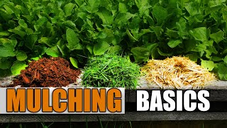 Mulching Your Vegetable Garden  The Definitive Guide [upl. by Eiluj900]