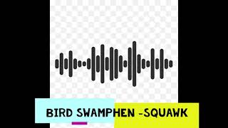 Squawk of bird Swamphen  sound effect clip  HD [upl. by Crosley]