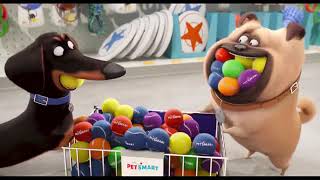 PetSmart TV Commercial The Secret Life of Pets [upl. by Pollux]