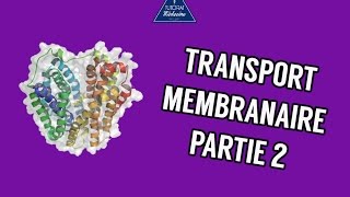 Transports membranaire  Partie 2 [upl. by Sible643]