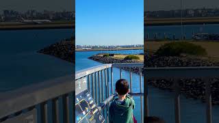 Watching airplane take off travel australia airport botany sydney [upl. by Nerha]