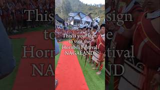 Hornbill Festival Nagaland 2024 hornbillfestival2024 nagaland hornbillfestival nagalandtourism [upl. by Artenek]