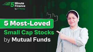 Five Favourite Small Cap Stocks of Mutual Funds  Where Mutual Funds Invest [upl. by Bish379]