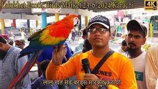 Lalukhet Exotic Hen and Birds Market 2362024 Karachi  Rare and Unique Birds and Parrots [upl. by Nawiat]