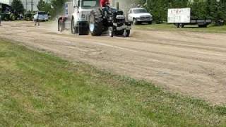 farmall m tractor pull [upl. by Siusan754]