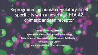 Reprogramming human regulatory T cell specificity with a novel antiHLAA2 chimeric antigen receptor [upl. by Imelida]