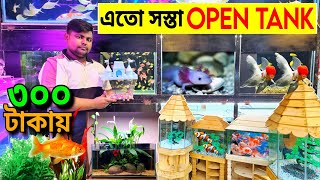 Aquarium Price In Bangladesh। Aquarium Fish Price In Mirpur। Aquarium Fish Price In Bangladesh [upl. by Didi658]