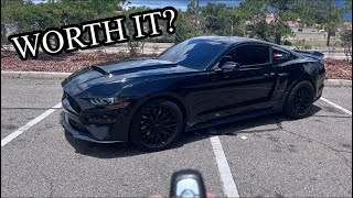 This is why you SHOULD buy a Mustang GT 50 [upl. by Neisa]