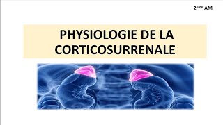 CorticoSurrenale Physiologie [upl. by Justinn]