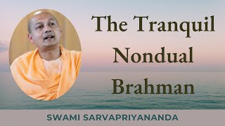 The Tranquil Nondual Brahman  Swami Sarvapriyananda [upl. by Eichman]