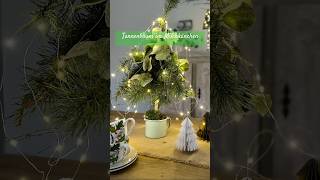 Tannenbaum schnell selber binden diy christmas weihnachten christmastree xmas [upl. by Rama845]