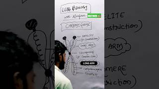 Chromosome diagram 21dayschallenge neetmotivation aiims doctor pw pwmotivation [upl. by Oir]