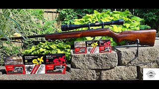 BRNO Mod 4 Budget 22LR Ammo Range Review [upl. by Lazar616]