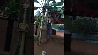 Wedding welcome decoration in villagebeautiful morningyoutube shorts [upl. by Kenny]