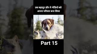 Iskar ka parivar dog amazingfacts [upl. by Nodgnal]