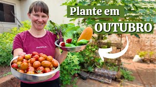 O que Plantar em OUTUBRO de 2024📅 Calendário de Plantio 🌱 Horta no Quintal 💚 [upl. by Acsecnarf]