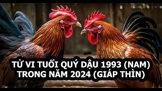 Tử vi tuổi Dậu 1993 năm 2024 Nam mạng  Công danh thuận lợi [upl. by Osnofla]