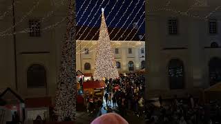 Târgul de Crăciun din Sibiu targdecraciun christmas christmasmarket [upl. by Nnayt]