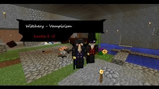 Mineraft  Witchery Mod  Vampire Levels Part 1 15 [upl. by Faletti579]