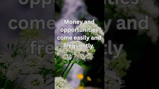 Abundance Affirmations CHANGE Your Life in 30 Days [upl. by Adnohsak]