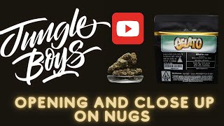 Jungle Boys  Gelato  Pack opening amp Close up on Nugs [upl. by Nyrad]