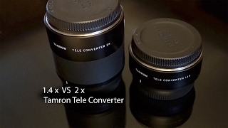 Tamrons 14x vs 2x Teleconverter Pros and Cons [upl. by Neliak]