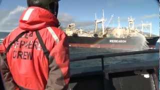 Bob Barker Encounter with Yushin Maru 2 Attempting to Transfer Poached Whale to Nisshin Maru [upl. by Johnathon]