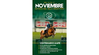 FINAL CAMPEONATO CABALLOS JOVENES  FOMENTO EQUINO CENTENARIO [upl. by Grefer562]