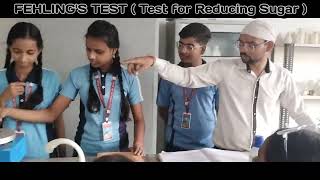 Fehlings Test  Detection of Reducting Sugar plusscience practical tollens fehlings [upl. by Betty203]